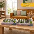 thumbnail image 3 of Costa Farms 3" Tall Assorted Succulents, Bright Direct Sunlight, Indoor Live House Plants, 48-Pk, 3 of 11