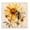 Busy Bee Sunflower Floral, variant on Stupell Industries Soft Bee Wreath Animals & Insects Painting Gallery Wrapped Canvas Art Print Wall Art, 17 x 17