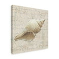 thumbnail image 2 of Trademark Fine Art 'Coastal Beauty III' Canvas Art by Lisa Audit, 2 of 3