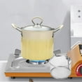 thumbnail image 1 of Olla freidora con mango, herramientas de cocina de 3L, olla para freír Tempura japonesa, multiusos para cocina casera, fiesta, freír pollo BLESIY Freidora, 1 of 8
