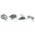thumbnail image 3 of CafePress - Lord Of The Flies Mug - 11 oz Ceramic Mug - Novelty Coffee Tea Cup, 3 of 6