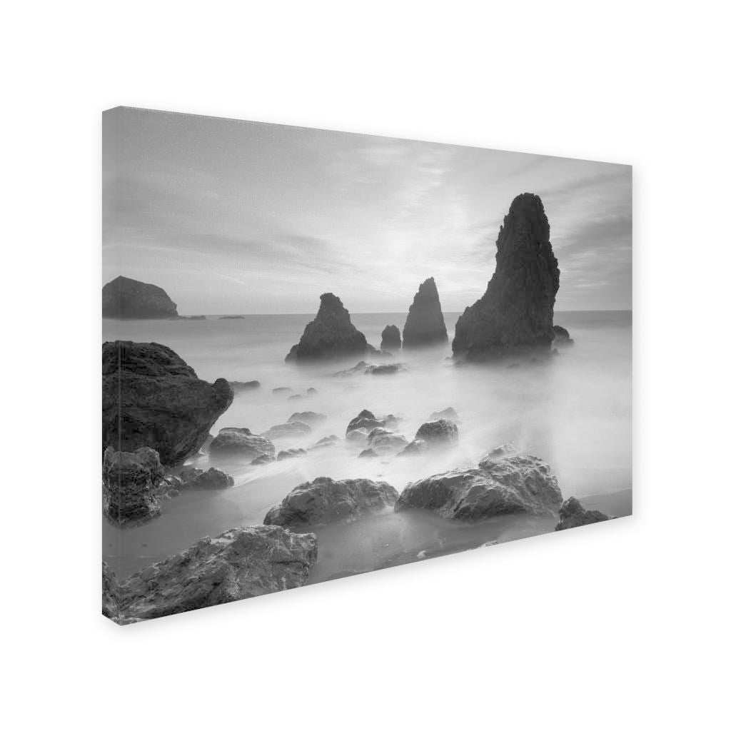Trademark Fine Art "Rodeo Beach I Black and White" Canvas Art by Moises Levy