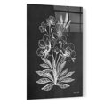 thumbnail image 2 of Epic Art 'Vintage Chalkboard Flowers' by House Fenway, Acrylic Glass Wall Art, 16"x24", 2 of 3