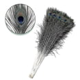 thumbnail image 2 of Natural Large Peacock Feathers For Decoration Cy Hy, 2 of 2