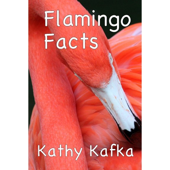 Flamingo Flamingo Facts, Book 4, (Paperback)