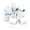 White, variant on 12-Pack 15oz Blank Sublimation Mug White, Ceramic Coffee Mug, Packed in White Box