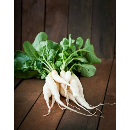 White Icicle Radish Seeds