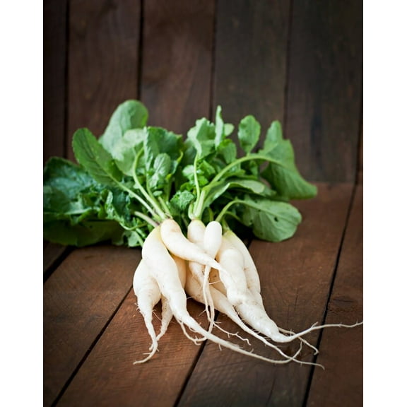 White Icicle Radish Seeds