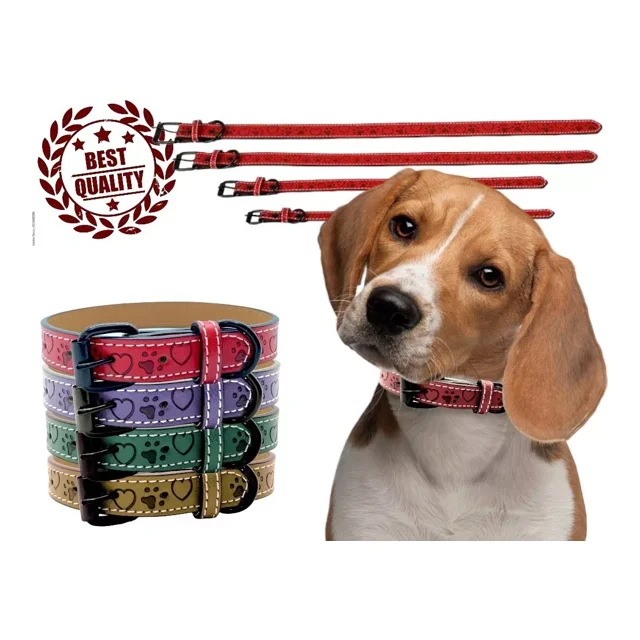 Collar Para Perros Raza Ch Med Y Gde Tipo Piel Ajustable Color Rojo Tamaño del collar Chico Ch/S
