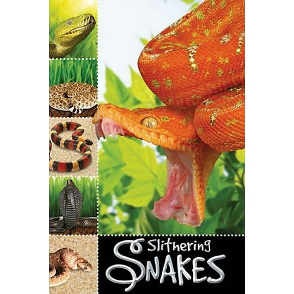 Serpents Moulants (Prêt à Lire, Niveau 1)