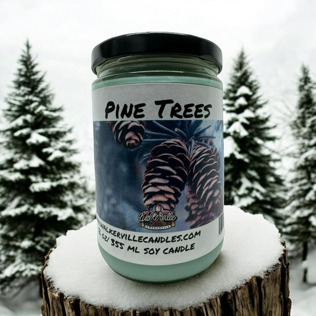 Pine Trees Vegan Coconut Soy 12 oz/ 355 ml Candle Hand-poured, Eco-friendly, Clean Burning, Woodsy/ Clean Christmas Wood Wick