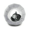 thumbnail image 1 of Cute Shell Cat Bed House,Cat Toys Ball Interactive,Soft Cat Cave & Foldable Pet Tunnel Tube Condos,Multi-Function Fun Toy Bed, 1 of 6