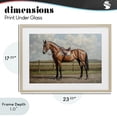 thumbnail image 4 of Stupell Industries Transitional Sunshine Pony on Farm Path Birch Framed Print Under Glass, 23 x 17, by Petals Prints Design, 4 of 8