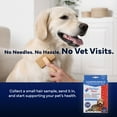 thumbnail image 4 of Comprehensive Pet Sensitivity Test, 4 of 7
