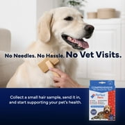 Comprehensive Pet Sensitivity Test