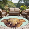 thumbnail image 4 of Round Area Rug 6 Ft, Green Elephants Washable Non-Slip Circle Carpet for Living Room/Bedroom, Funny Animals Modern Art Low-Profile Indoor Mats Collection Rugs for Residential, 4 of 8