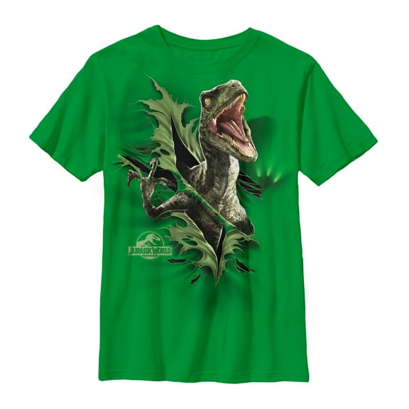 Boy's Jurassic World Velociraptor Rip Graphic Tee Kelly Green Medium