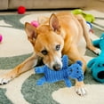 thumbnail image 4 of Durable Dog Chew Toy Bear for Interactive Puppy Play - for Indoor and Outdoor Activities, 4 of 5
