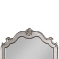 thumbnail image 2 of Esteban Mirror in Antique Champagne, 2 of 7