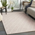 thumbnail image 4 of BoutiqueRugs Riceville Contemporary Area Rug - Pale Pink, Cream - 9' x 13', 4 of 10