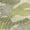 Camo Layer, variant on Style & Co Womens Bermuda Shorts Bright White 18