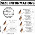 thumbnail image 2 of Unwashed Quail Egg Carton Stickers 1x2.5inch Farm Fresh Quail Eggs Carton Labels 120pcs, 2 of 6