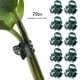 thumbnail image 5 of Clip de Fijación de Flor Ganfancp 20Pcs Phalaenopsis para Horticultura, 5 of 7