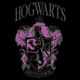 thumbnail image 2 of Mens Harry Potter and the Philosopher's Stone Hogwarts Gryffindor Lightweight Hoodie, 2 of 4