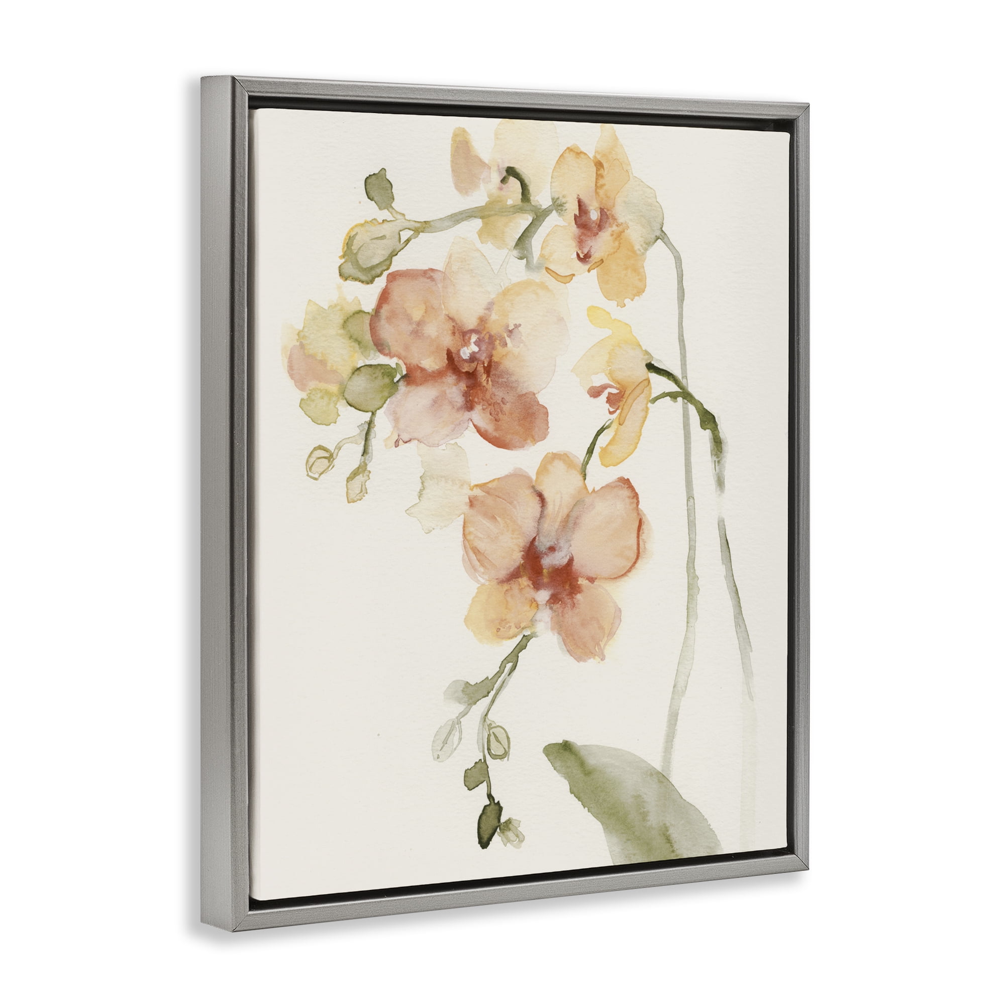 Stupell Industries Peach Orchid in Bloom Gray Framed Floater Canvas Wall Art, design by Victoria Barnes