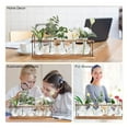 thumbnail image 5 of Plant Propagation Station with Wooden Stand,Plant Terrarium Desktop Stations,Air Planter Bulb Glass Vase, 5 of 6