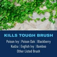 thumbnail image 2 of BioAdvanced Extended Control Brush Killer, Ready-to-Use 1 Gallon, 2 of 6
