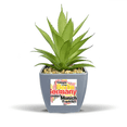 thumbnail image 1 of Germany City Name Map Style Illustration Fake Pineapple Flower Pot Vase Mini Decor, 1 of 3