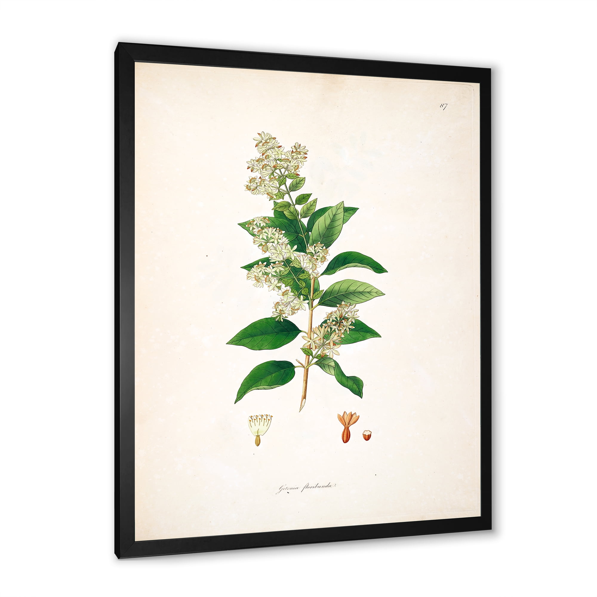 Designart 'Ancient Botanicals XVII' Farmhouse Framed Art Print