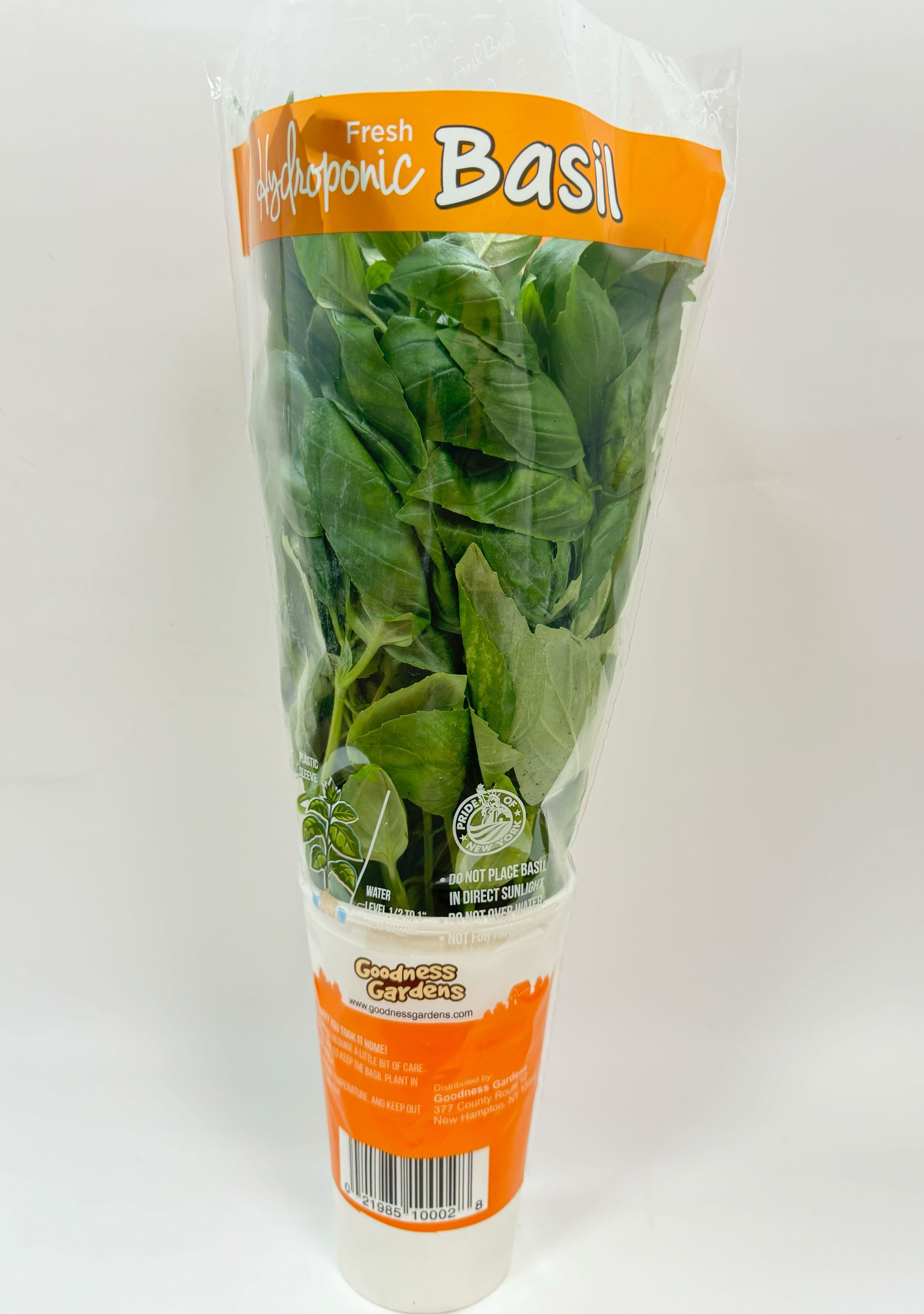 Gg Hydroponically Grown Basil