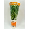 thumbnail image 5 of Gg Hydroponically Grown Basil, 5 of 5