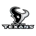 thumbnail image 1 of Emblème Auto Houston Texans - Argent, 1 of 1