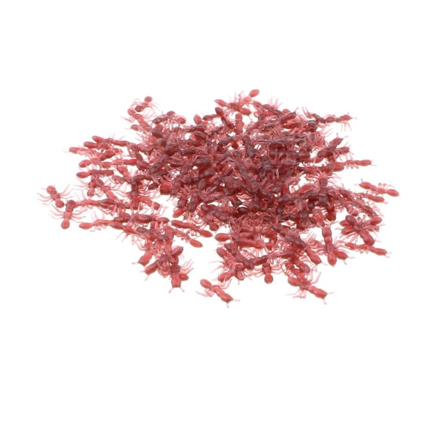 Juguetes de hormigas de plástico realistas para Modelo de simulación de marrón Sunnimix Juguete de figura animal insecto