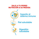 thumbnail image 2 of Alimento Croqueta Para Pug Cachorro 1.1Kg Royal Canin Pug Puppy, 2 of 4