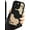 Black, variant on Compatible with iPhone 14 Case, Cute Bear Pattern Soft Gel Rubber TPU Case, Full Camera Protection & Edge Lips Strengthen Shockproof Cover for Women Men, Brown