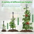 thumbnail image 6 of Garden Trellis for Climbing Plants, Deaunbr Plant Support Obelisk Trellis Garden Trellises for Vines, Flowers Stands, Outdoor & Indoor Potted Plants, Rose, Cucumber, Pea, Tomato, Clematis - 1 Pack, 6 of 10