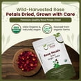 thumbnail image 6 of Organic Way Rose Petals Dried (Rosa Centifolia) - Pure, Edible & Fragrant for Tea | Organic & Kosher Certified | Raw, Vegan, Non GMO & Gluten Free | USDA Certified | Origin - India (1/4 lbs / 4 oz), 6 of 6