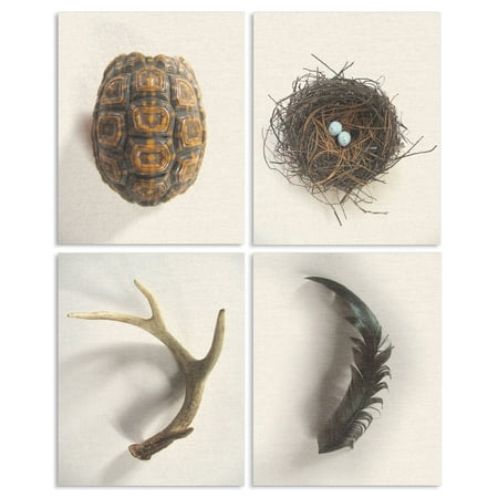 Woodland Home Decor The Stupell Home Decor Collection Woodland Found Objects 4pc Wall Plaque Art Set, 4pc, each 10 x 0.5 x 15 ()