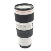 Canon EF 70-200mm f/4L IS USM Telephoto Zoom Lens, Professional L-Series Lens for DSLR Cameras (International Model)