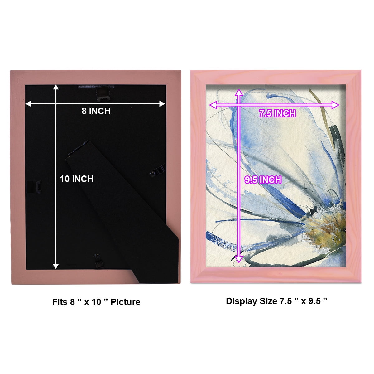 Cobalt & Paynes Petals I - Framed Print w/glass - Sunset Pink
