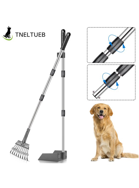 Pooper Scoopers in Dog Potty Training