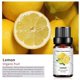 thumbnail image 3 of Ganfancp Aceite para Aliviar La Fatiga Aromaterapia 10Ml Limón Ofertas de La Semana 1* Aceite Esencial, 3 of 7