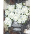 thumbnail image 2 of Norkus, Julie 15x18 Black Ornate Wood Framed with Double Matting Museum Art Print Titled - Snowball Hydrangeas II, 2 of 4