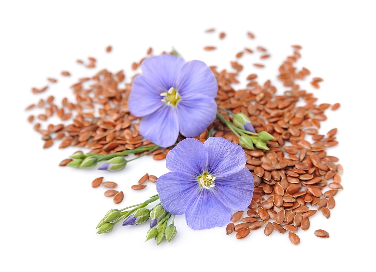 Organic Brown Milled Flax Seeds, 8 Pounds — Non-GMO, Raw, Vegan, Kosher — by Food to Live