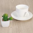 thumbnail image 2 of Maceta suculenta artificial moderna en forma de cubo, verde, minimaceta para decoración de interior y exterior (cactus con espinas), 2 of 5