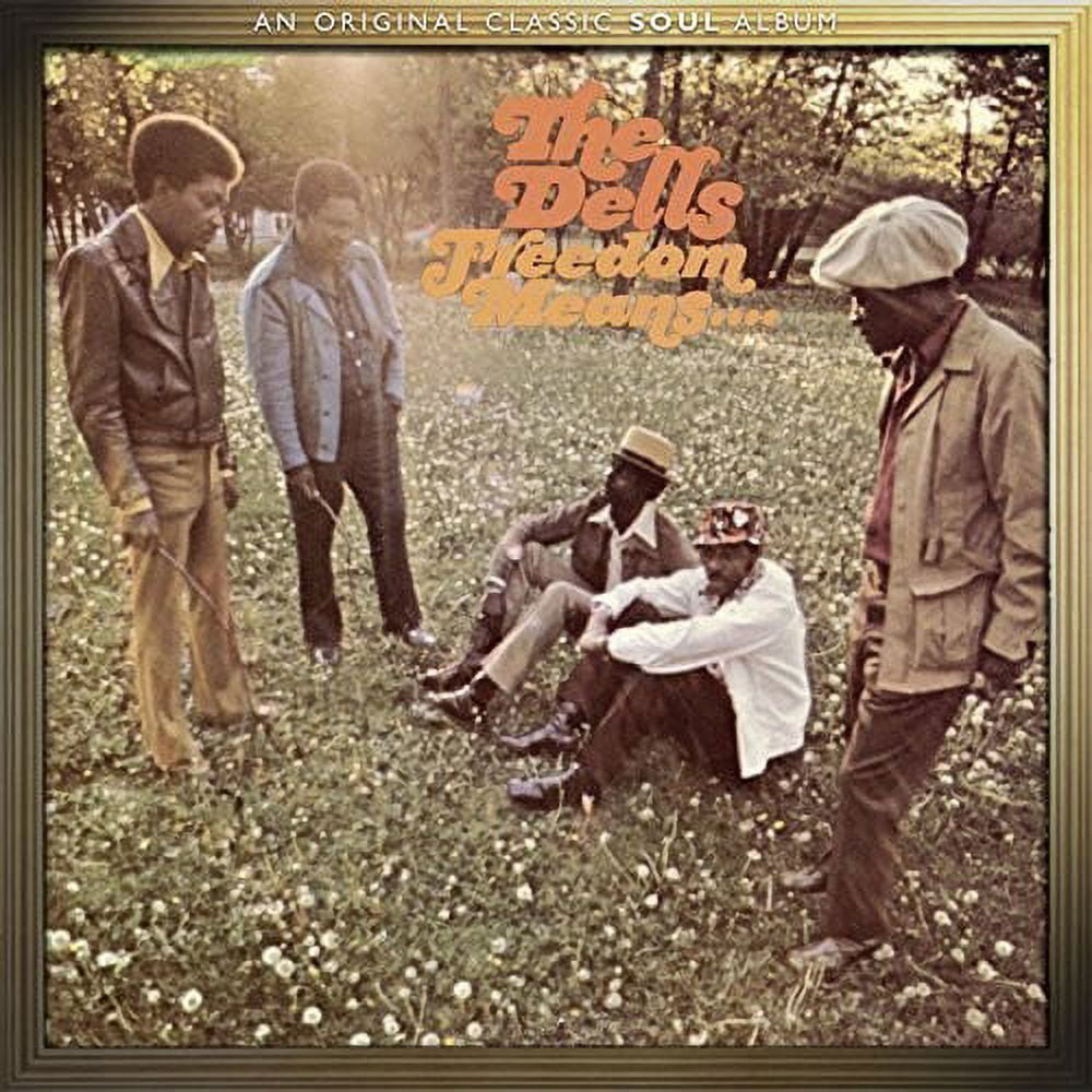 The Dells - Bring Back the Love - Classic Dells - Music